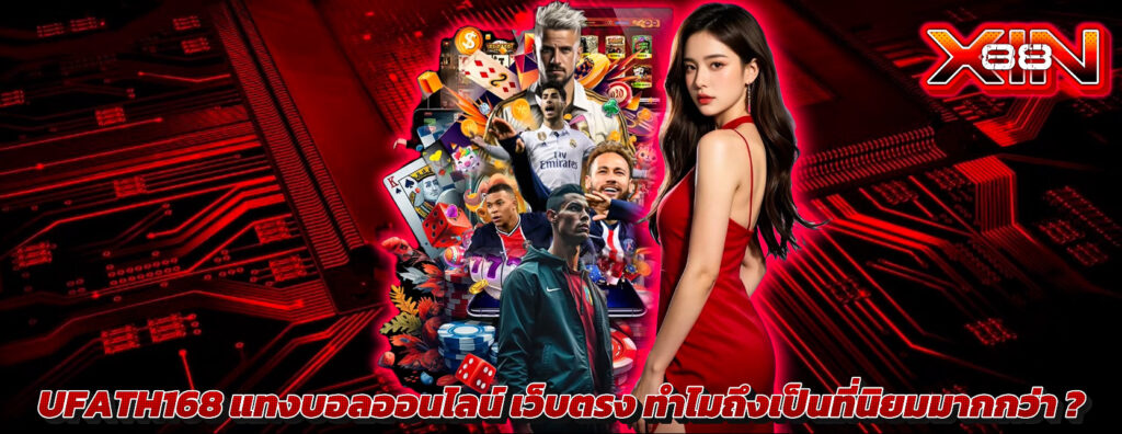xin88